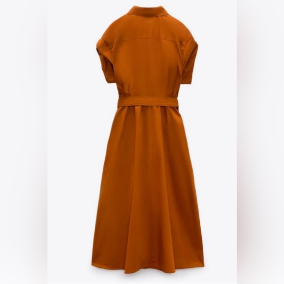 Zara | Midi Belted Shirt Dress with Gold Buttons - Picture 4 of 16